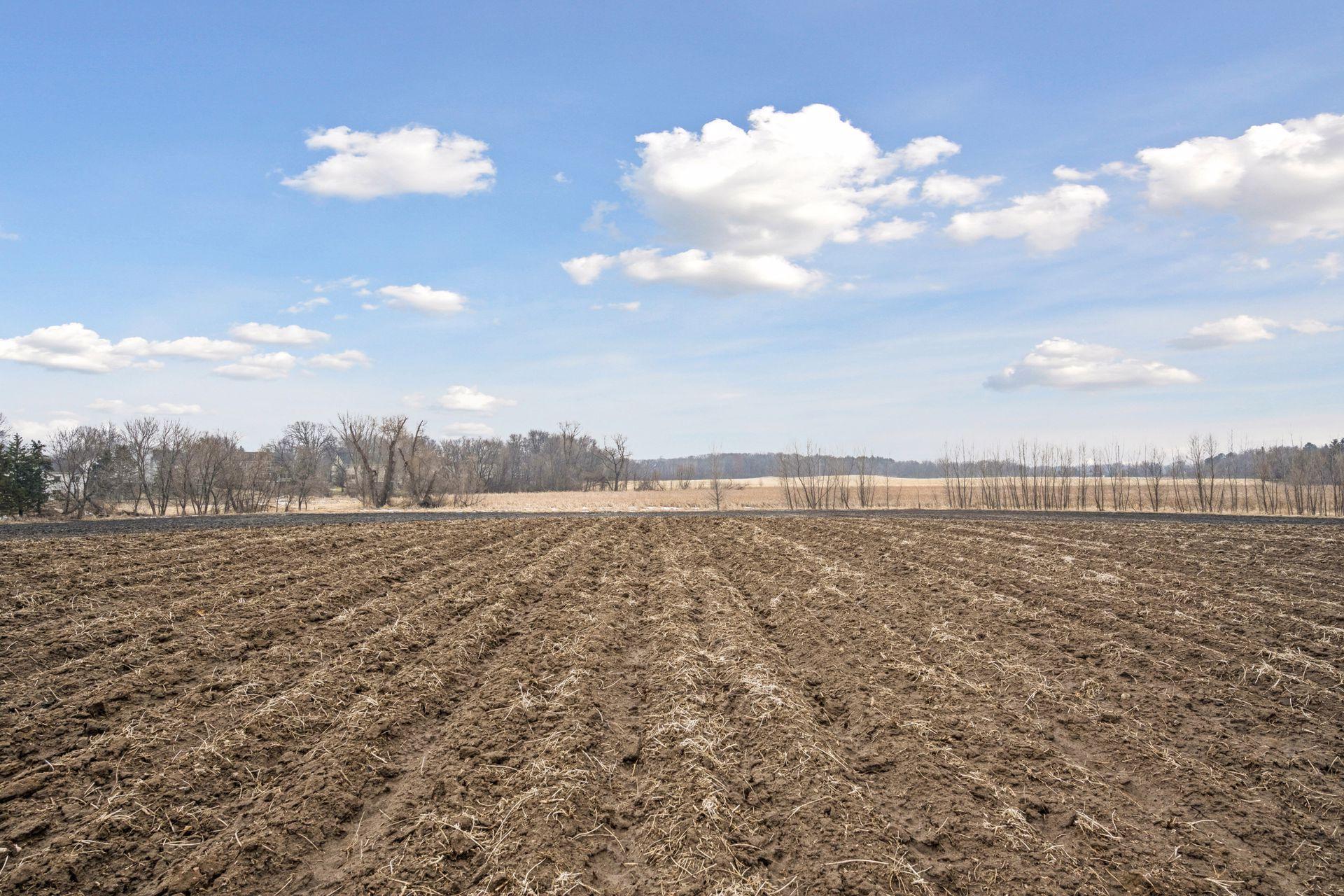 23 X Medina Road Medina, MN 55340 - Photo 7 of 20