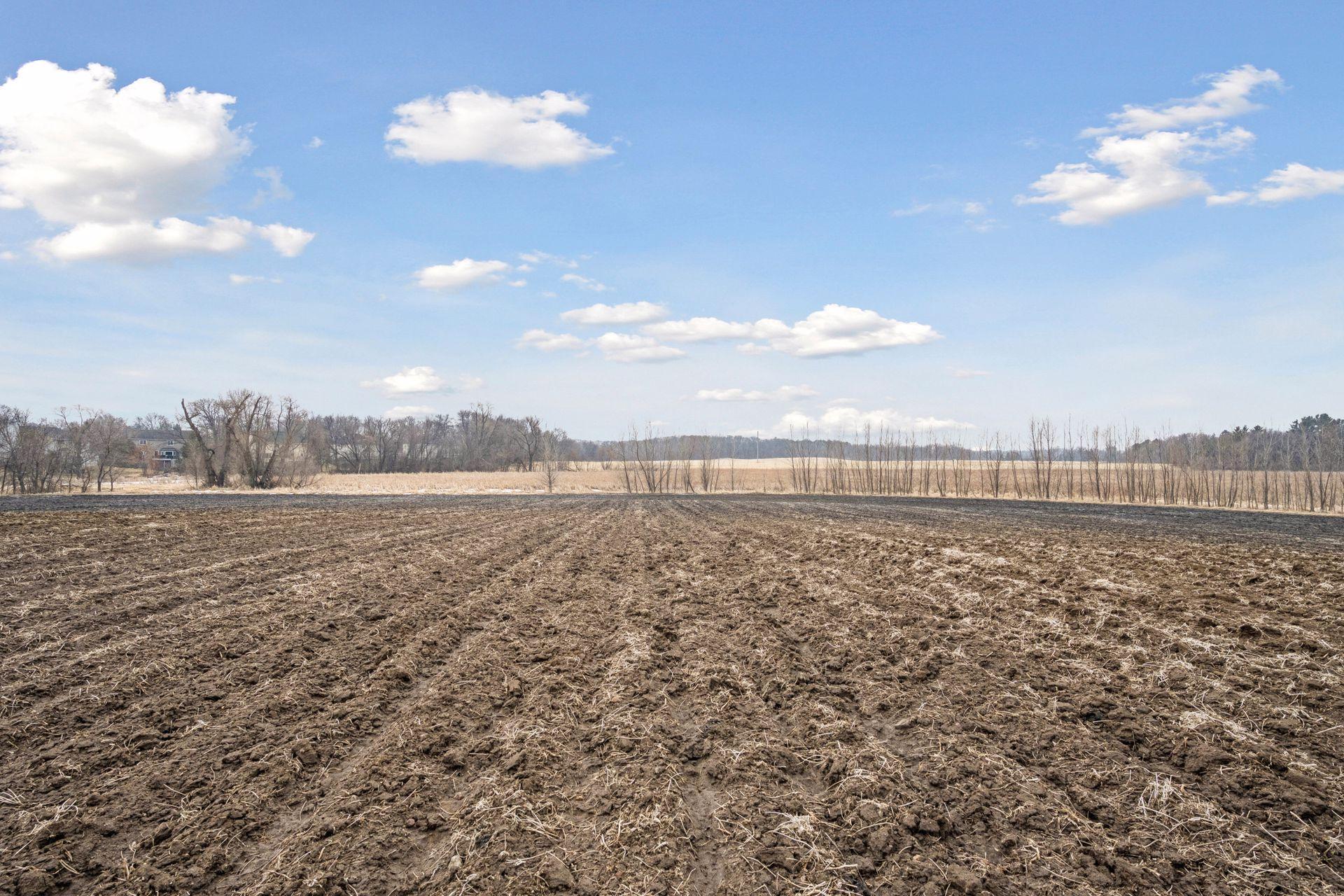 23 X Medina Road Medina, MN 55340 - Photo 8 of 20