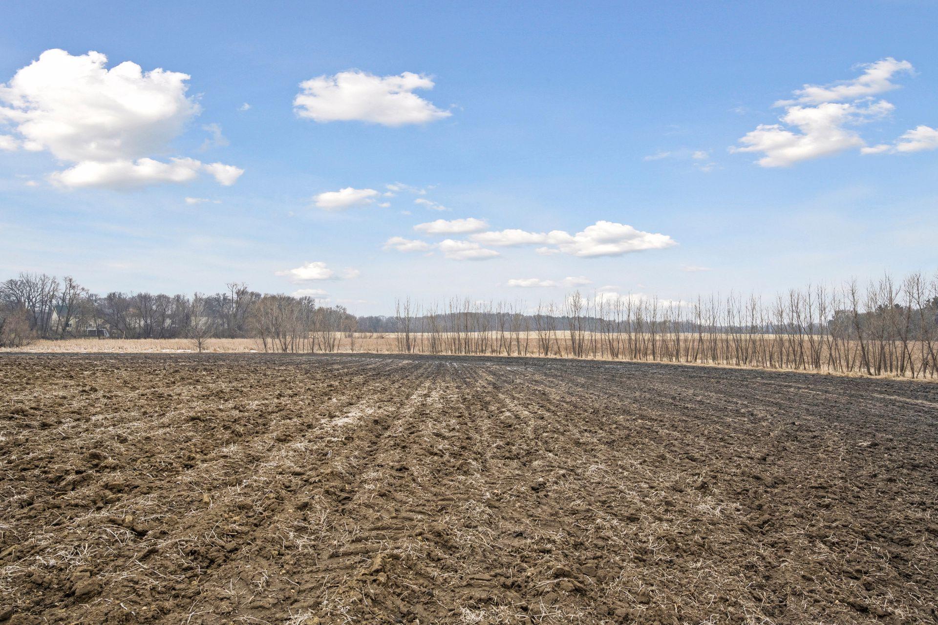 23 X Medina Road Medina, MN 55340 - Photo 9 of 20