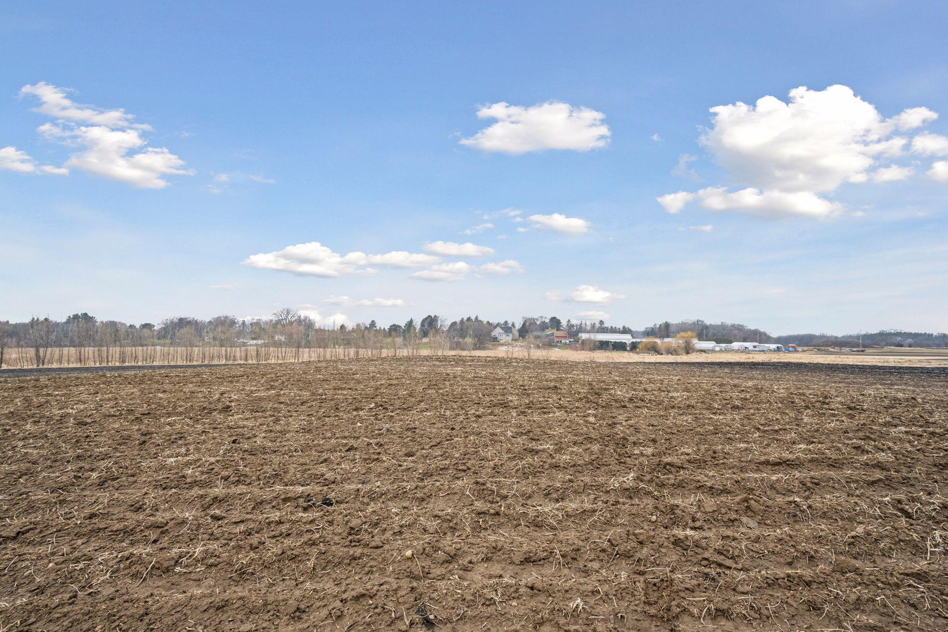 23 X Medina Road Medina, MN 55340 - Photo 10 of 20