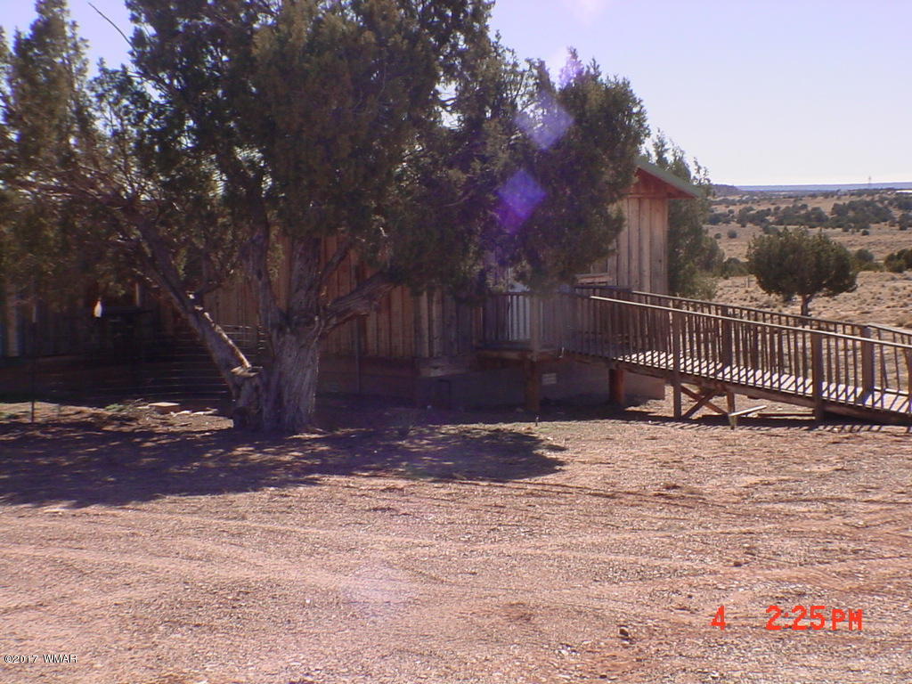 188 County Road Concho, AZ 85924 - Photo 2 of 24