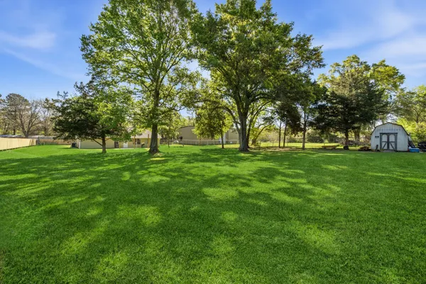 a view of a backyard with a garden and plants