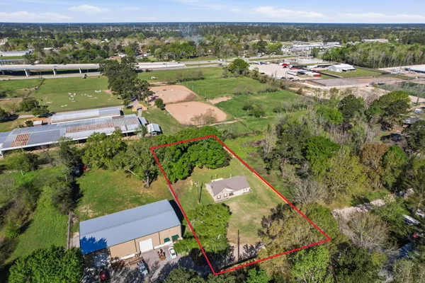 a view of a park with large trees and a wooden fence