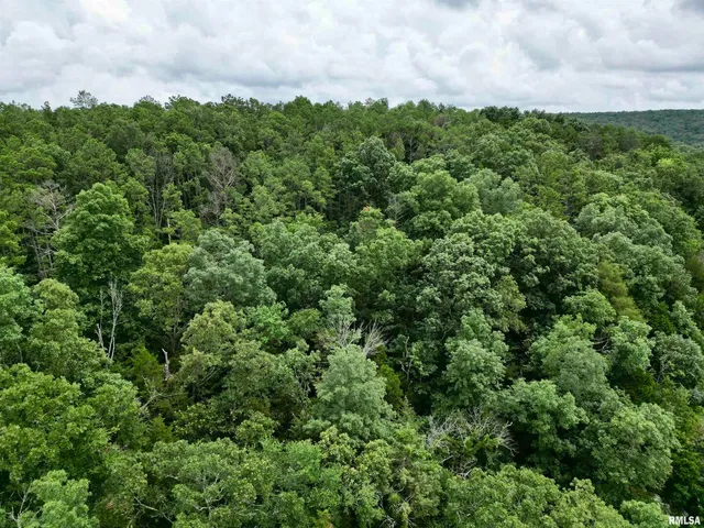 $205,000 | 0 Stoneface Road, Herod, IL 62947