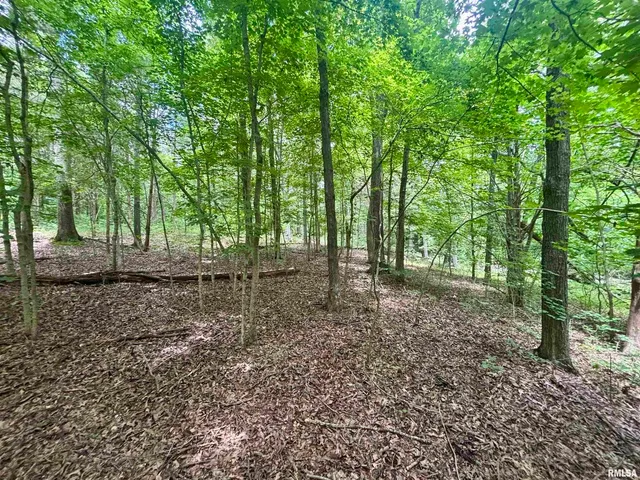 $205,000 | 0 Stoneface Road, Herod, IL 62947