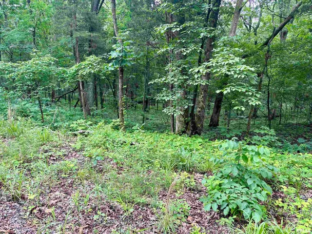 $205,000 | 0 Stoneface Road, Herod, IL 62947