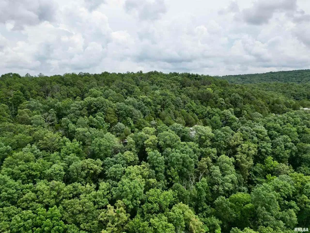 $205,000 | 0 Stoneface Road, Herod, IL 62947