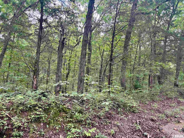 $205,000 | 0 Stoneface Road, Herod, IL 62947