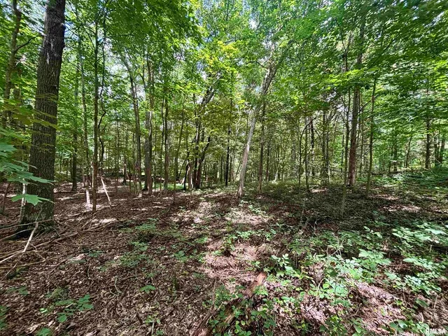 $205,000 | 0 Stoneface Road, Herod, IL 62947