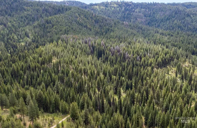 $403,325 | 42 Clear Creek Road, Cascade, ID 83611