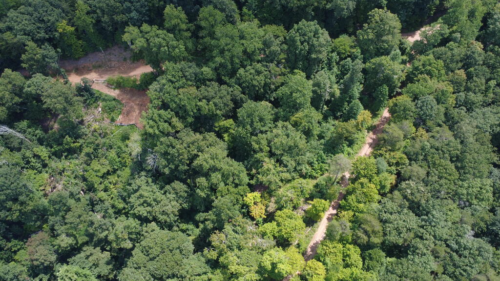 0 Firetower Road Jasper, GA 30143 - Photo 10 of 21 Gallery Image 10
