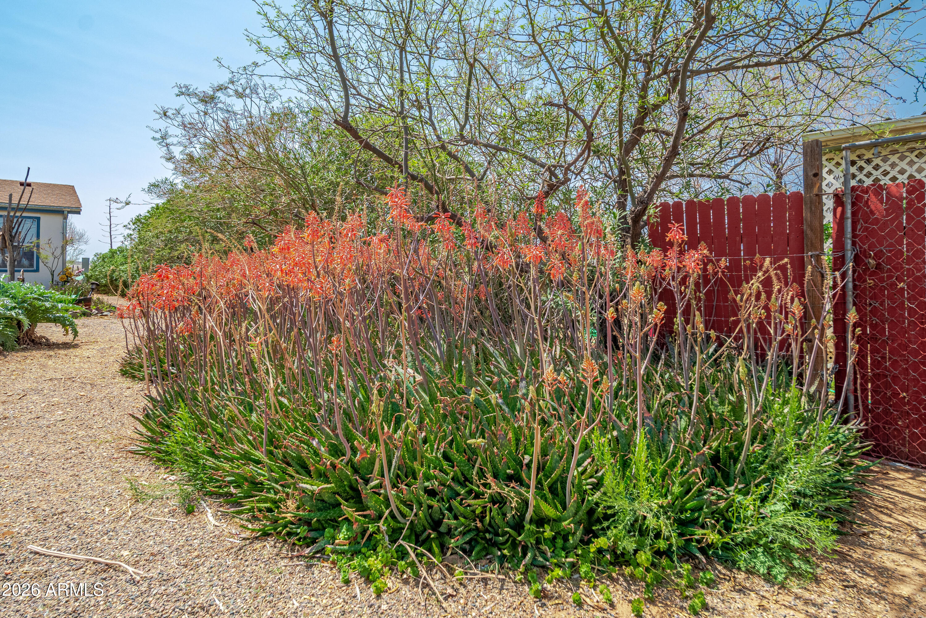 22780 Sunrise Road Congress, AZ 85332 - Photo 31 of 57 22780 W Sunrise Rd 00012