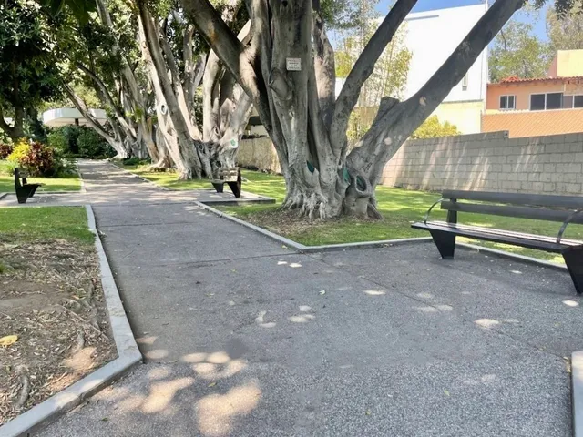 a view of park with large trees