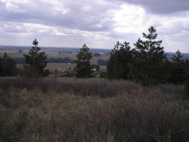 0 East Big Rock Road Spokane, WA 99223 - Photo 1 of 1 Gallery Image 1