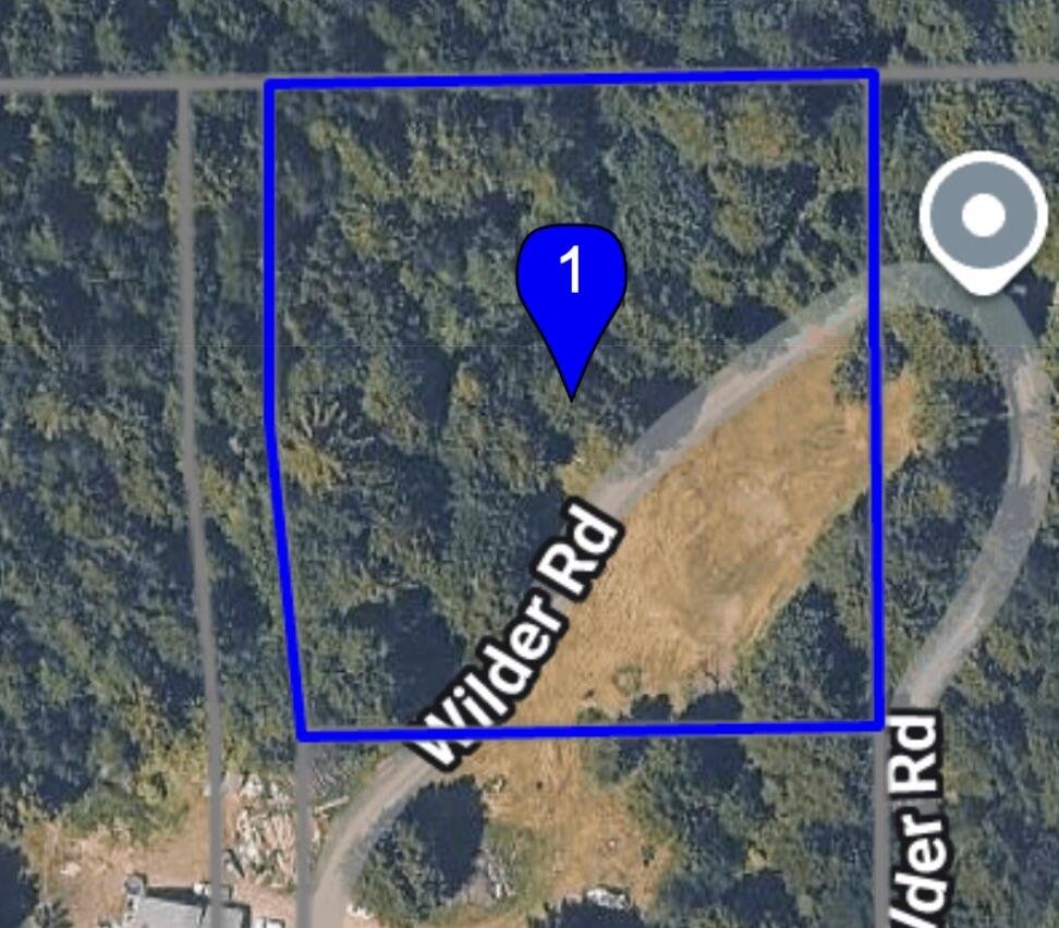 0 Wilder Road Carlotta, CA 95528 - Photo 12 of 12