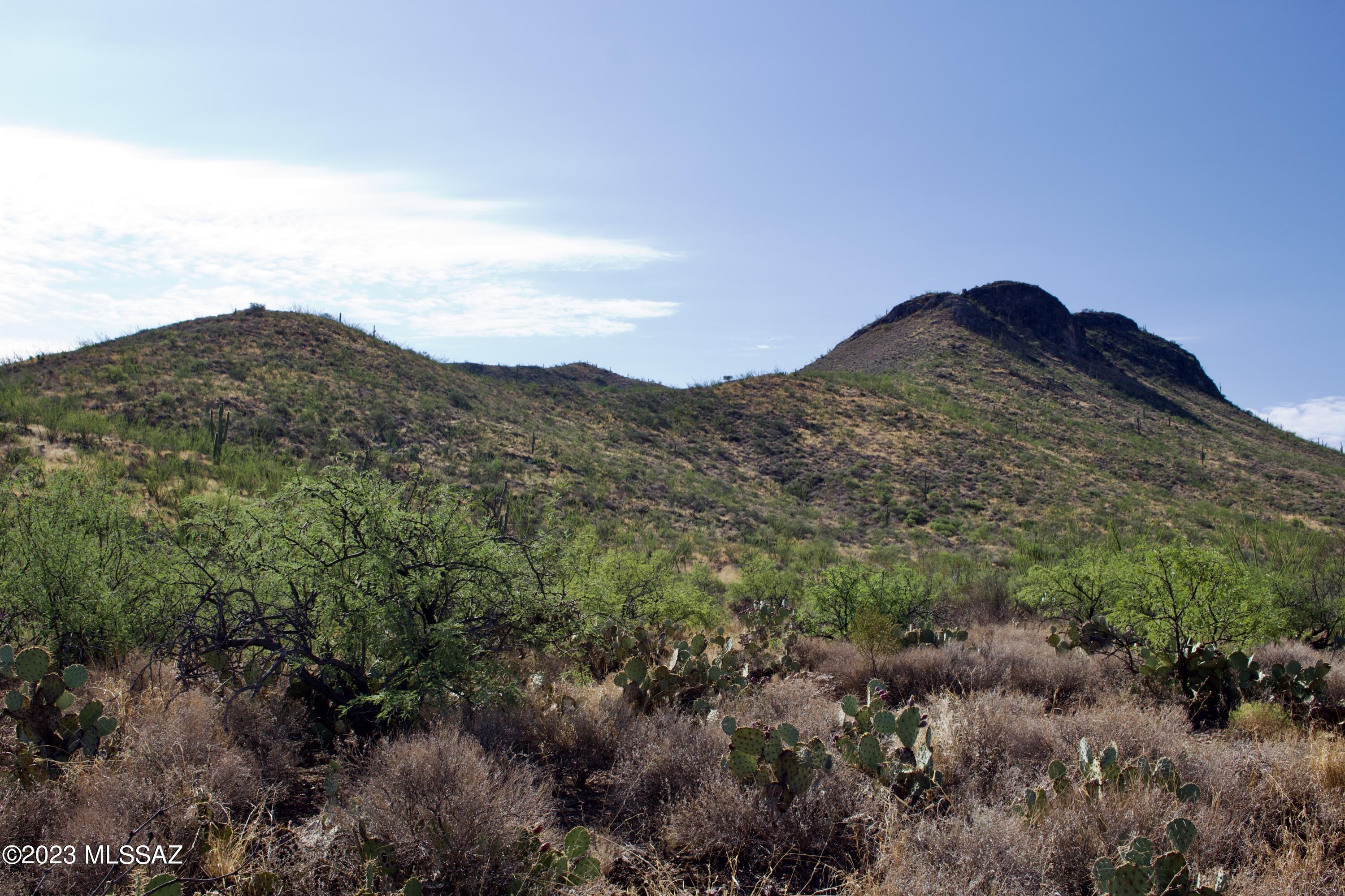 9720 East Ocotillo Rim Trail Vail, AZ 85641 - Photo 3 of 6 South View