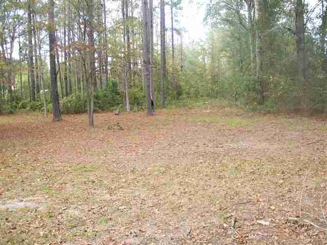 230 East Lake Road Gadsden County, FL 32351 - Photo 4 of 5 Gallery Image 4
