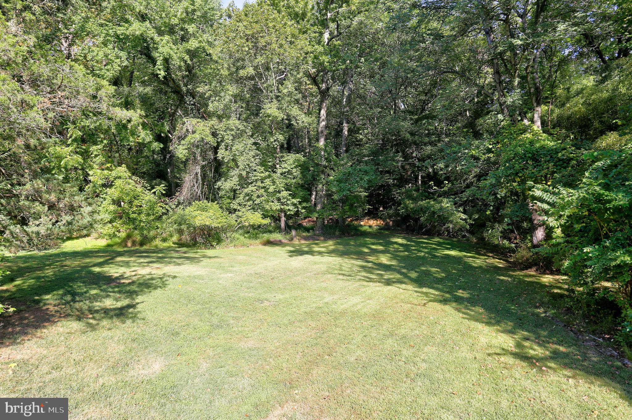 9110 Montpelier Drive Laurel, MD 20708 - Photo 21 of 30 a view of a yard with a tree