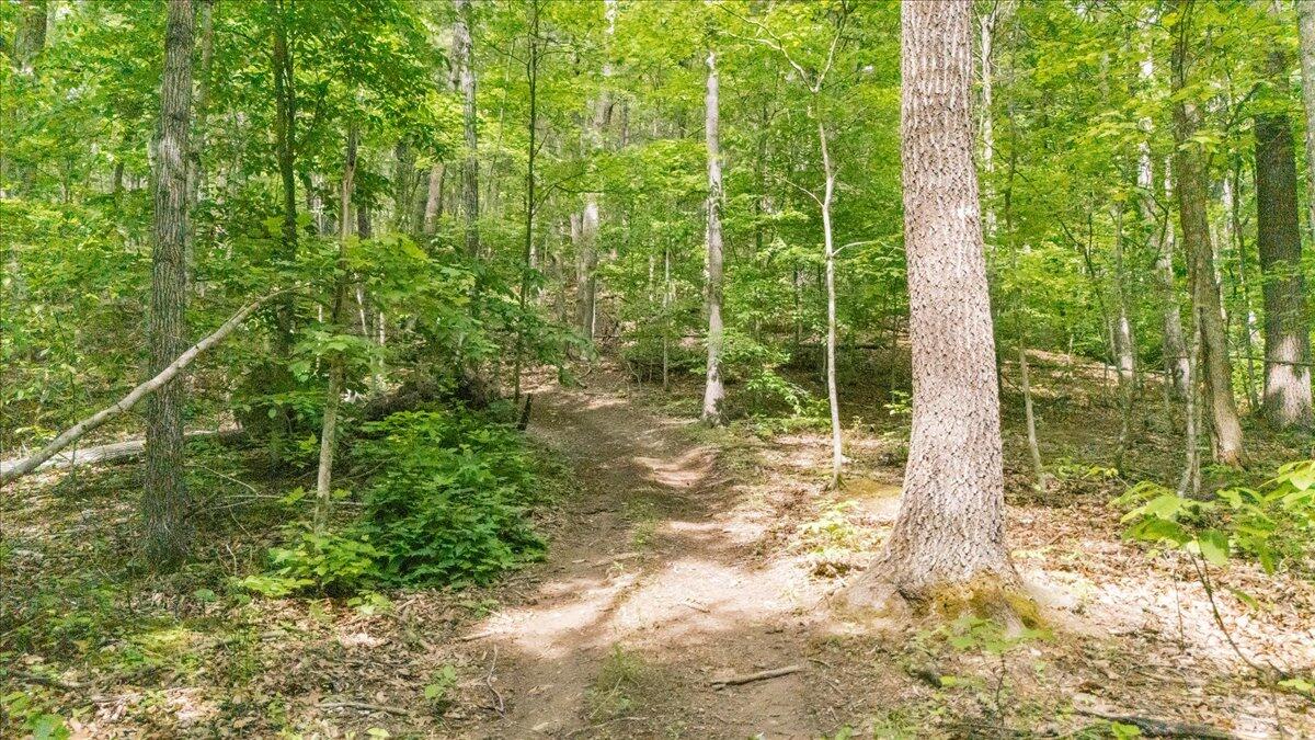 3994 Yates Road Shawsville, VA 24162 - Photo 12 of 40 32-DJI_20260516160406_0031_D