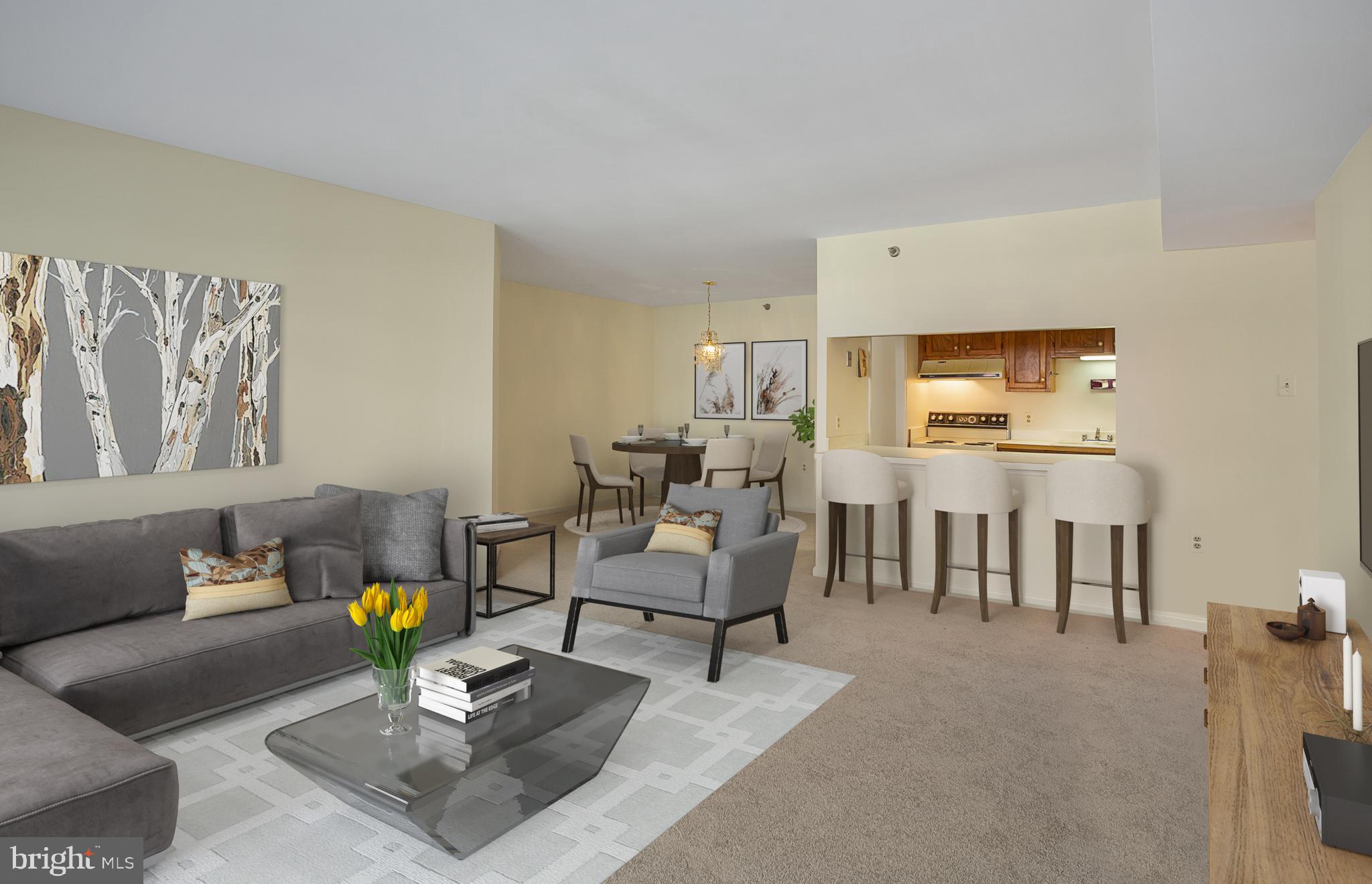 1301 North Courthouse Road, Unit 812 Arlington, VA 22201 - Photo 3 of 20