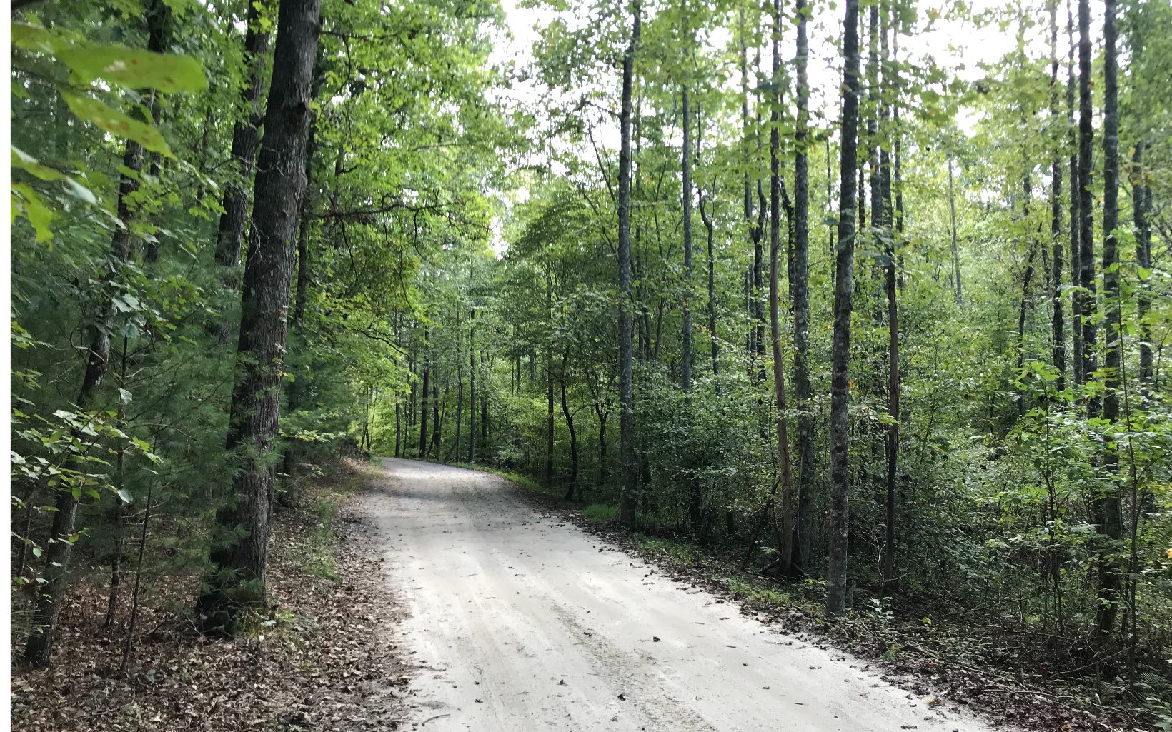 Oakey Ridge Road Morganton, GA 30560 - Photo 4 of 4 Additional View