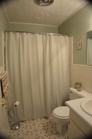 1641 Nowell Road West Macon, GA 31220 - Photo 22 of 38 a bathroom with a toilet a sink and curtain