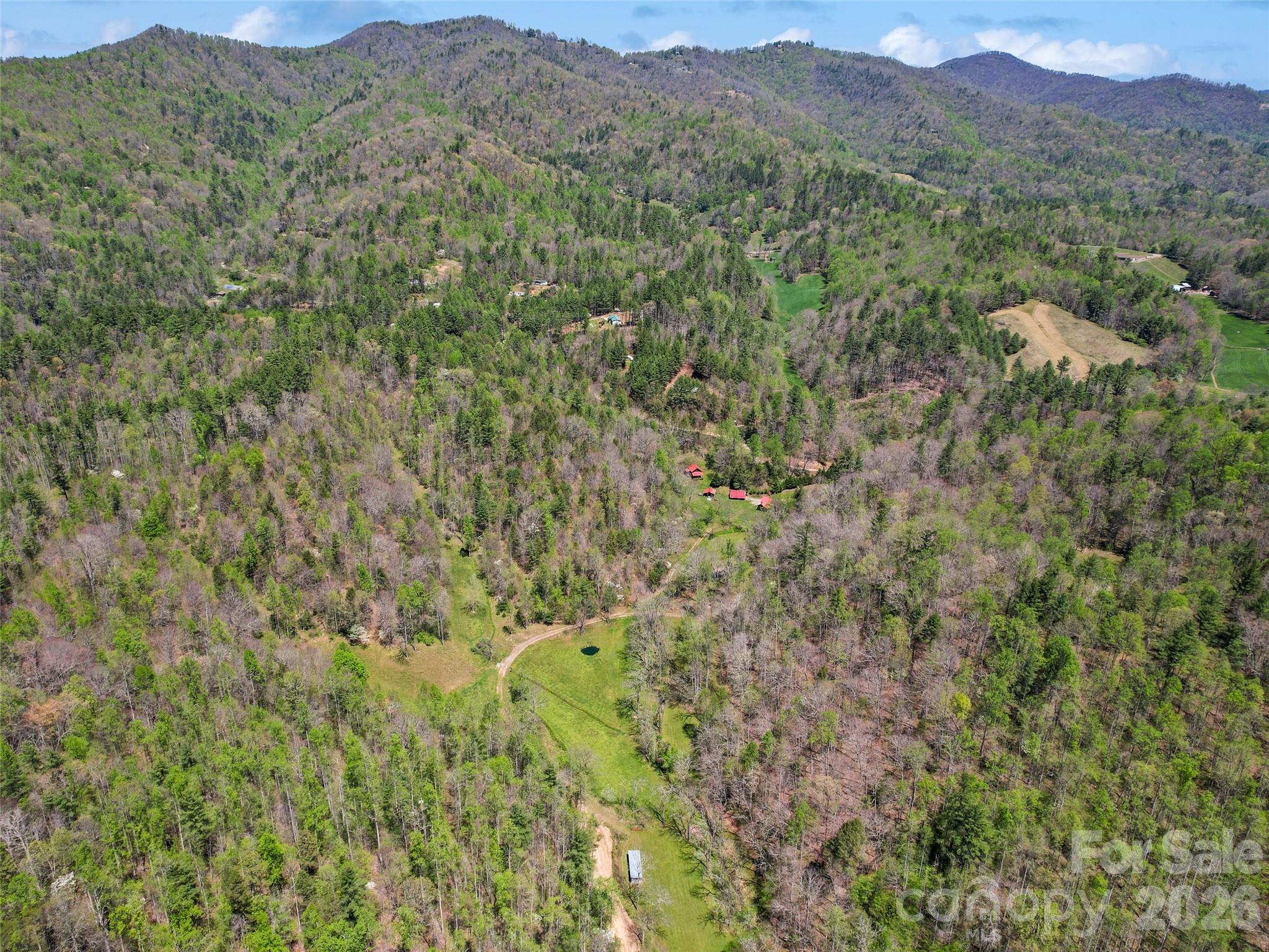 647 Indian Springs Road Clyde, NC 28721 - Photo 3 of 33