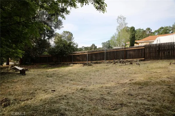 a view of a outdoor space with a tree