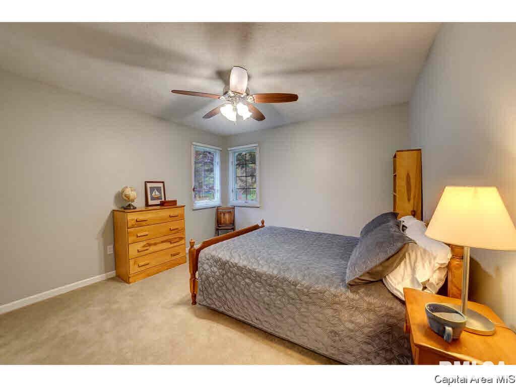 2813 Hastings Road Chatham, IL 62629 - Photo 20 of 32 Gallery Image 20