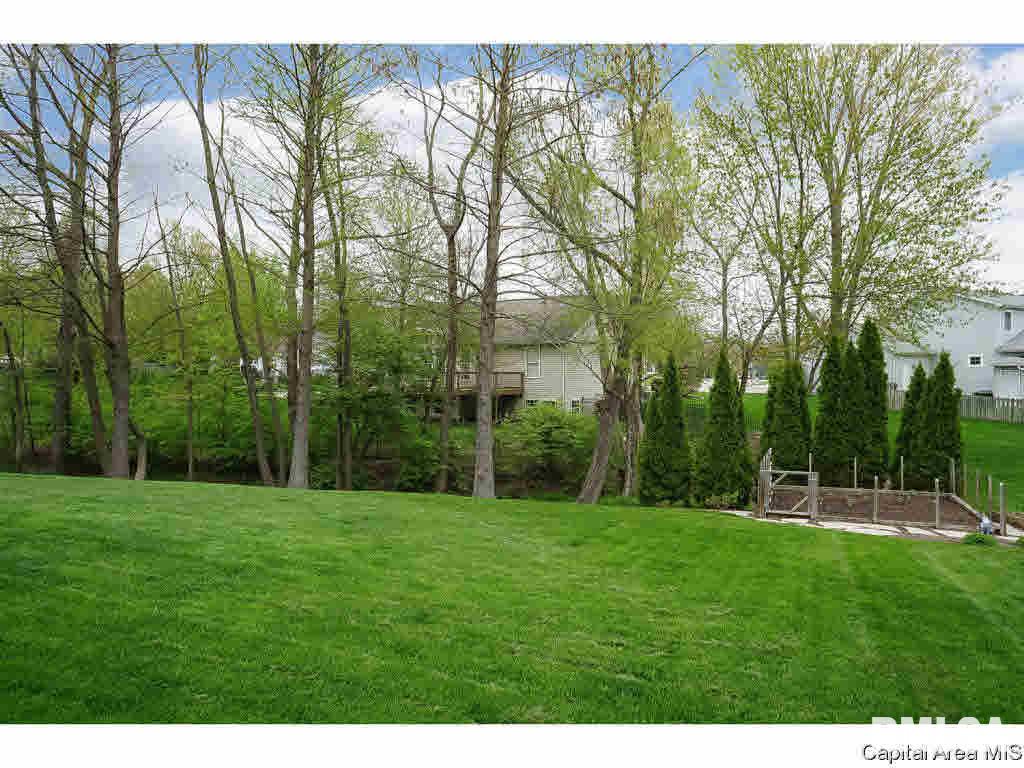 2813 Hastings Road Chatham, IL 62629 - Photo 32 of 32 Gallery Image 32