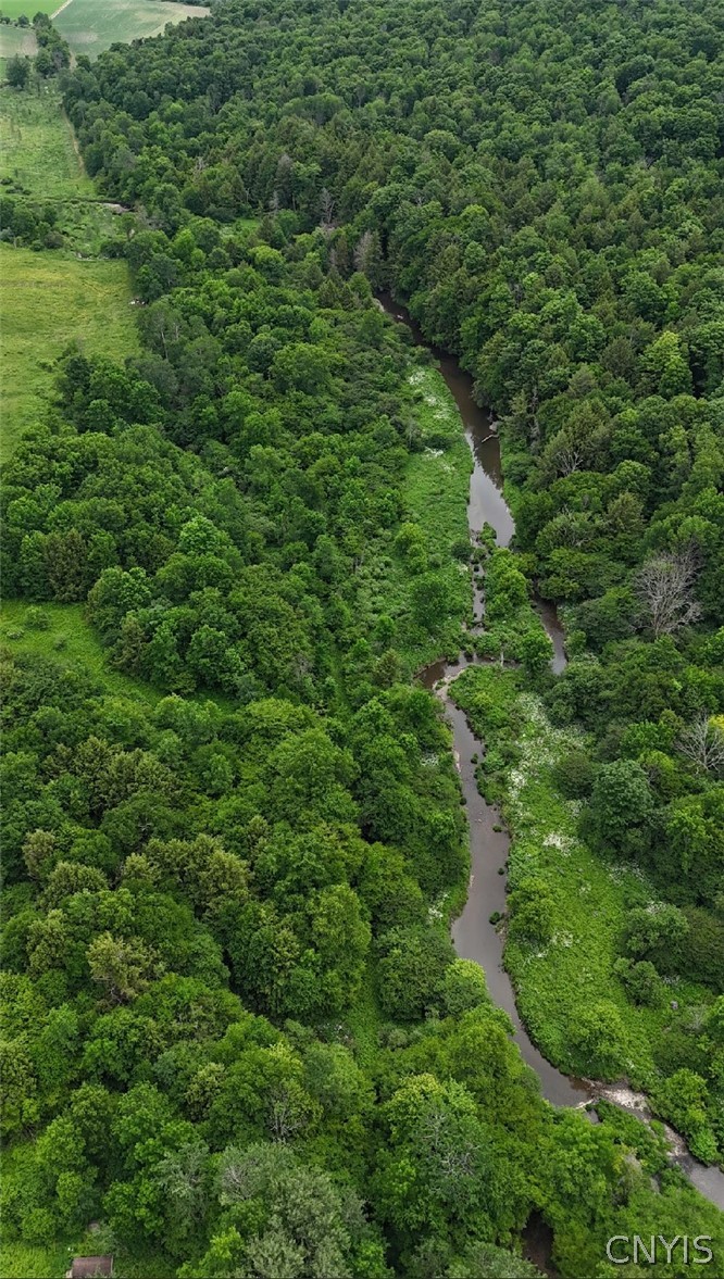 3940 Stillwell Road Solon, NY 13101 - Photo 13 of 14