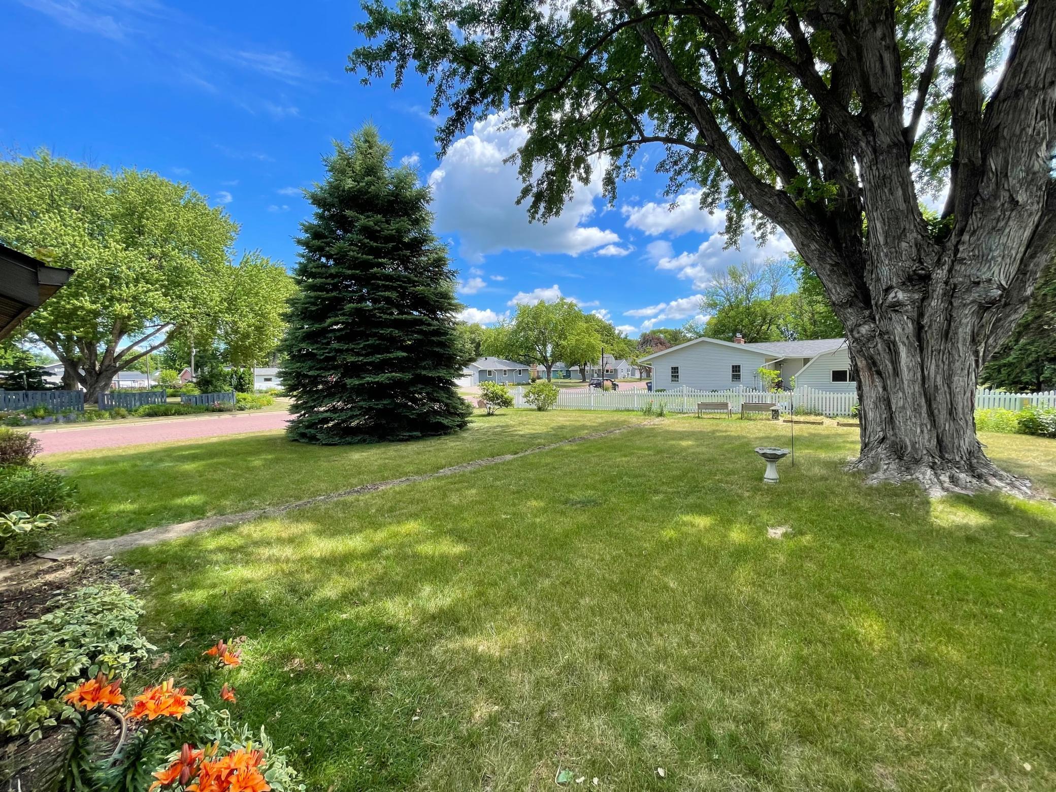 403 South Paffrath Avenue Springfield, MN 56087 - Photo 4 of 63