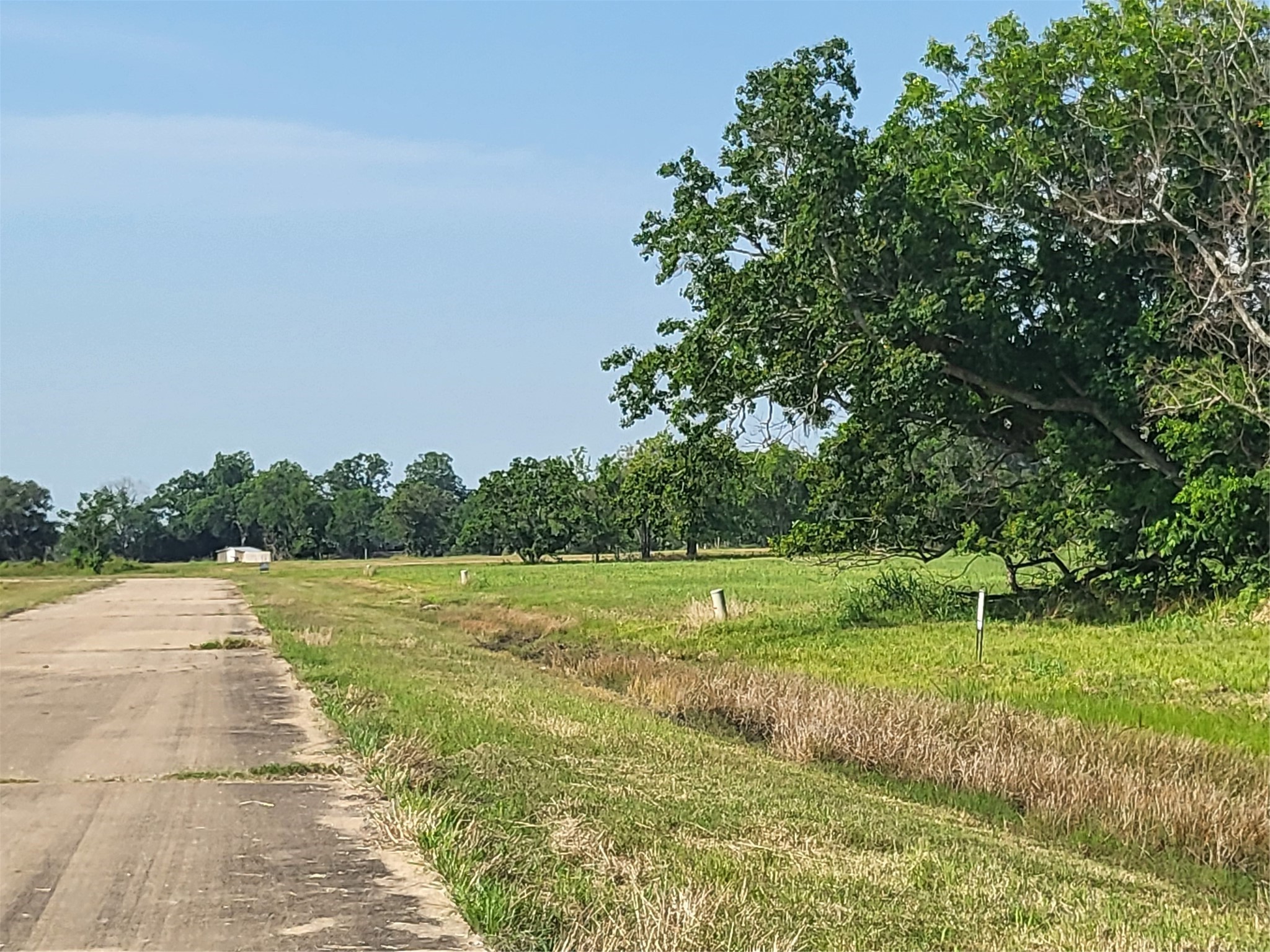 Lot 75 Conestoga Trail Angleton, TX 77515 - Photo 4 of 8 a view of an outdoor space and yard