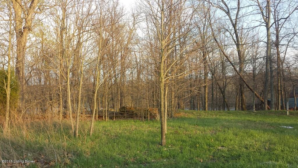908 Spring Shores Lane Falls Of Rough, KY 40119 - Photo 3 of 10 280-3