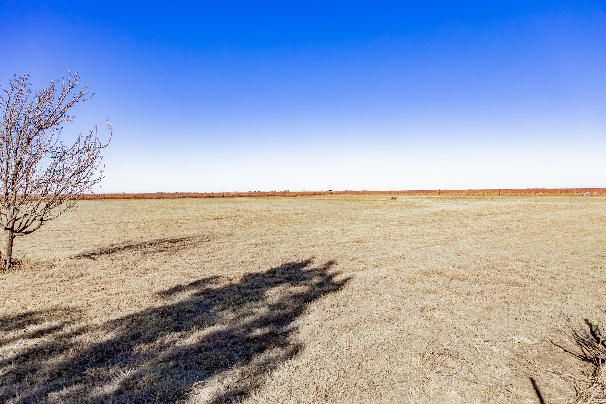 1398 County Road 155 Post, TX 79356 - Photo 25 of 26 a view of an ocean