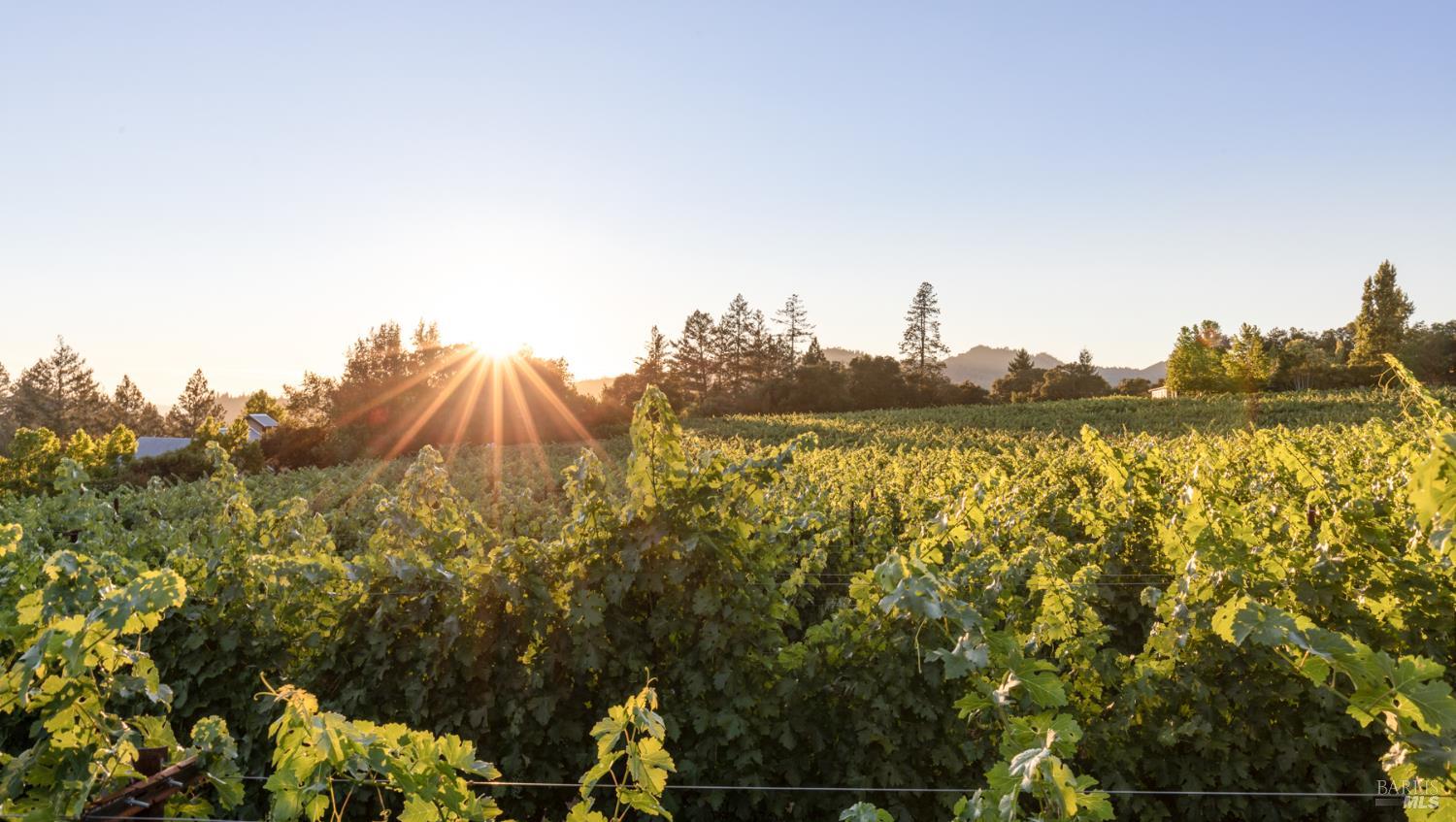 710 Anderson Lane Angwin, CA 94508 - Photo 8 of 9 a view of a lake with houses