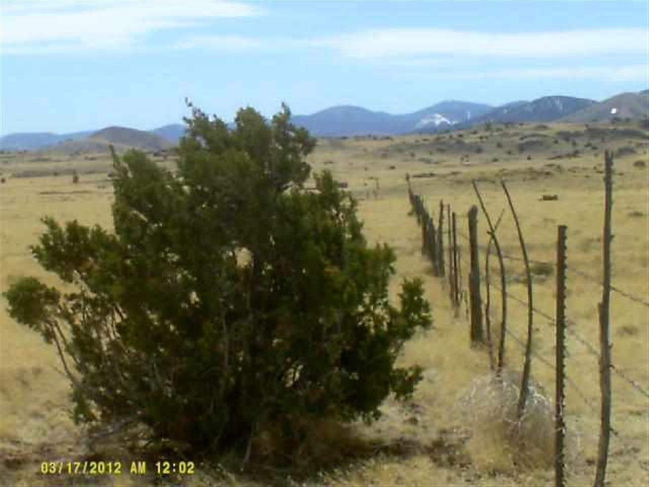 Lot 76 Cedar Road Concho, AZ 85924 - Photo 1 of 6
