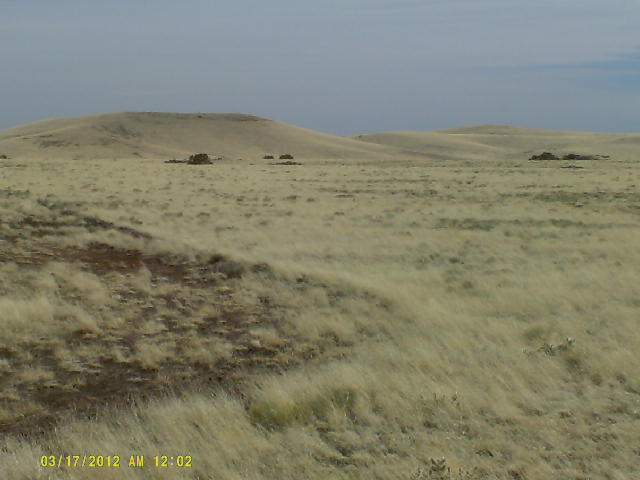 Lot 76 Cedar Road Concho, AZ 85924 - Photo 5 of 6