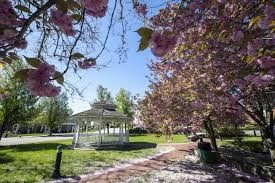 2 Perkins Street Amesbury, MA 01913 - Photo 34 of 36 a view of a yard in front of a house