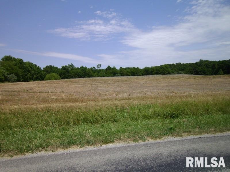 0 Trico Road Cutler, IL 62238 - Photo 1 of 1