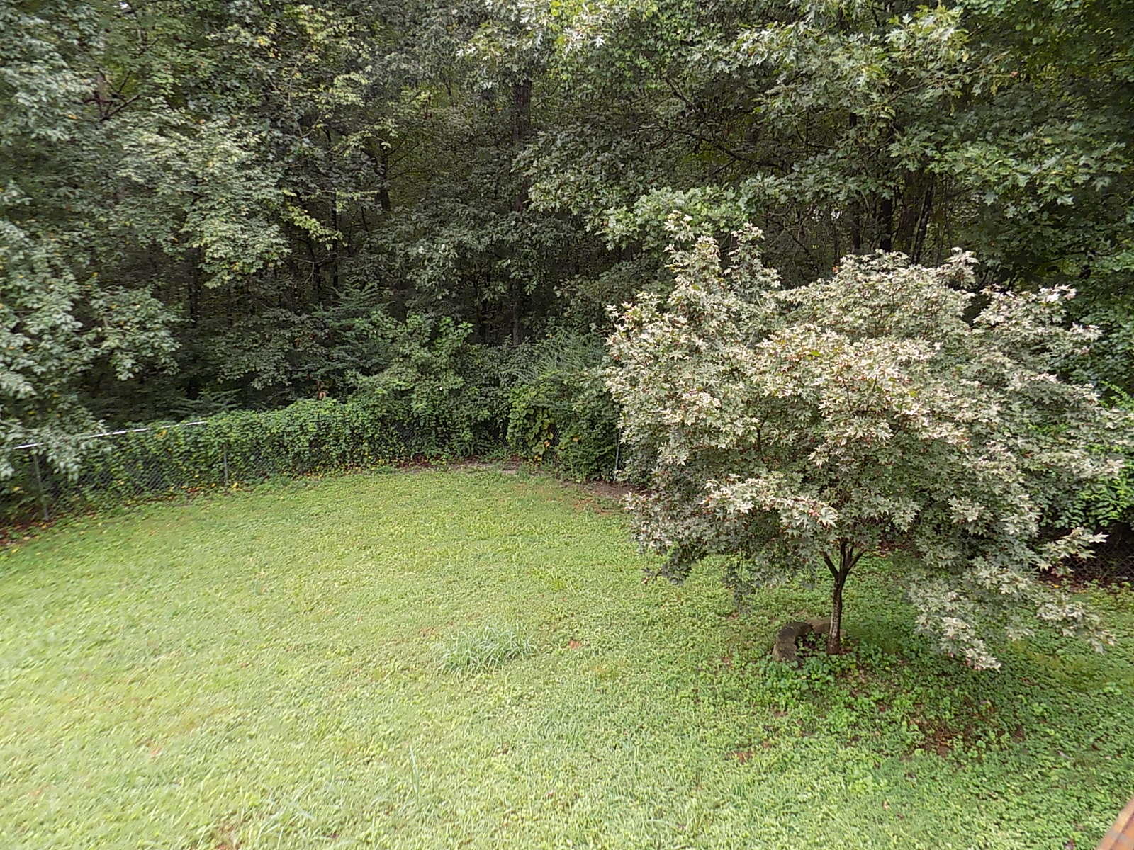 1480 Bowman Road Hixson, TN 37343 - Photo 27 of 31 040