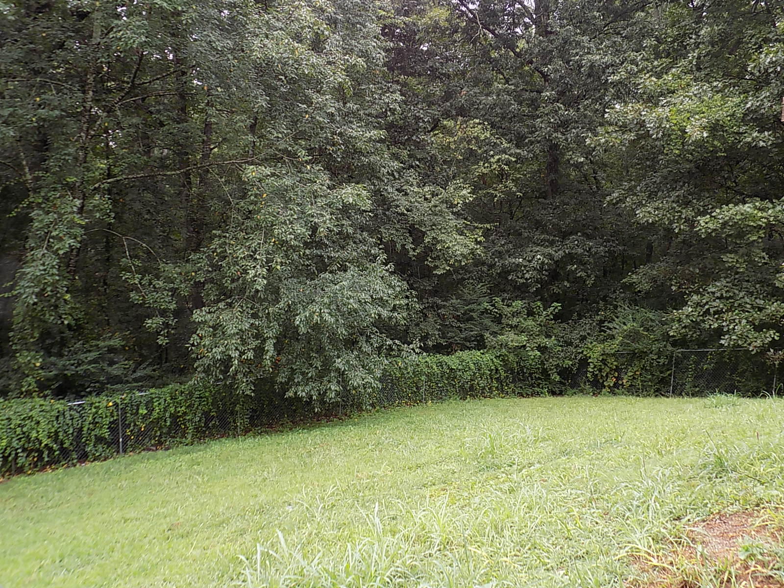 1480 Bowman Road Hixson, TN 37343 - Photo 29 of 31 008