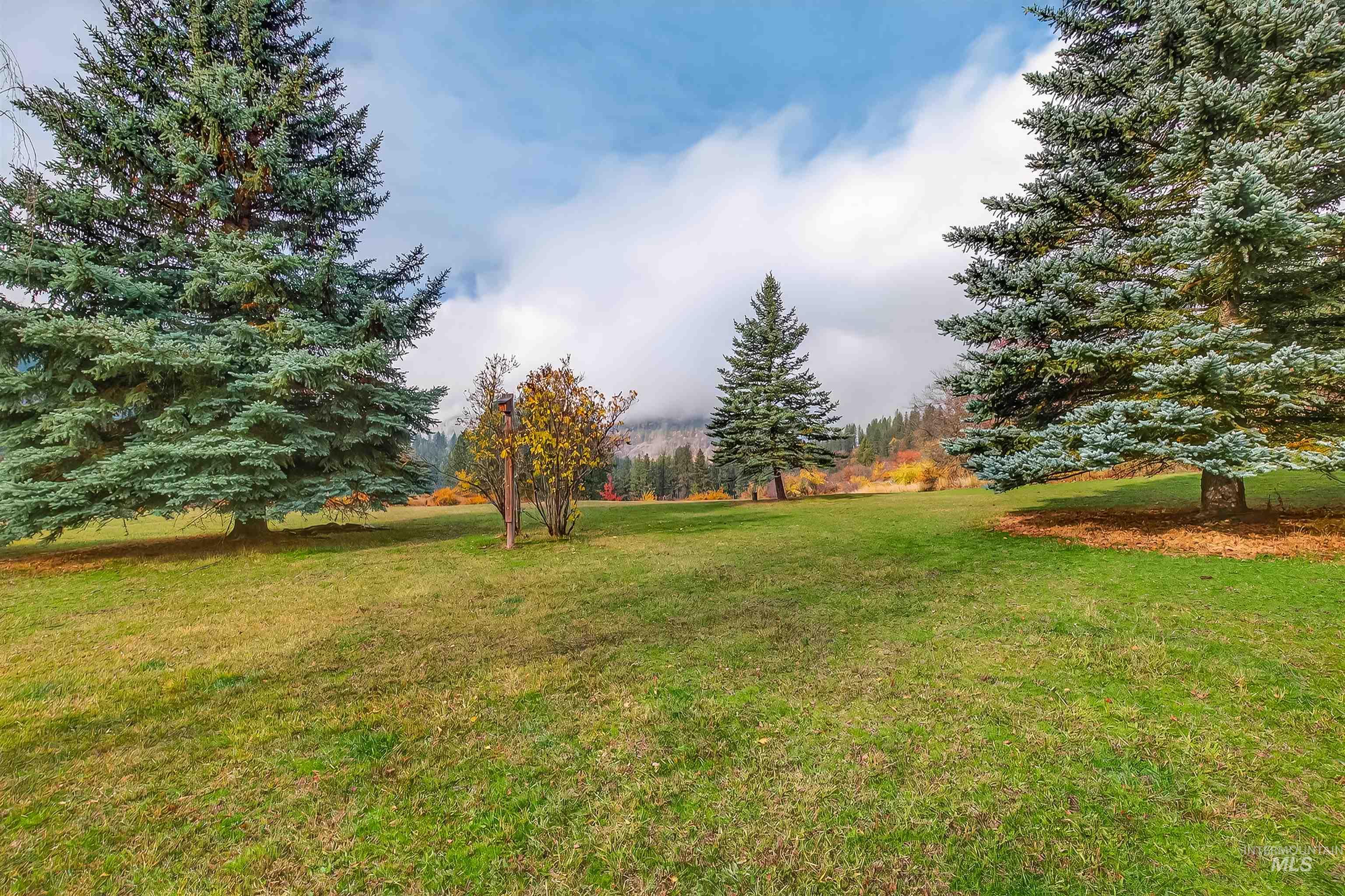 1383 Cedar Ridge Road Kendrick, ID 83537 - Photo 13 of 50