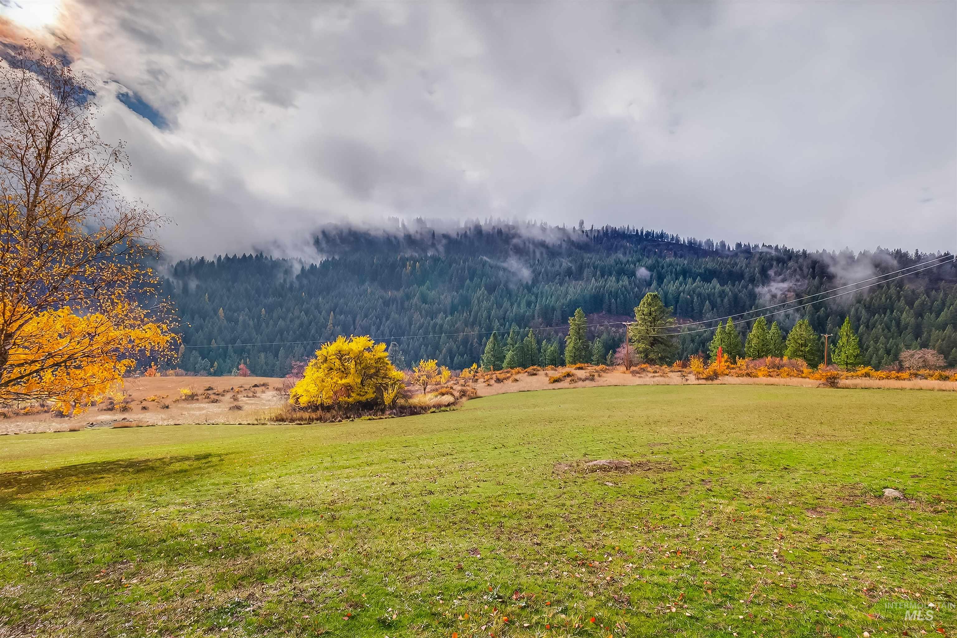 1383 Cedar Ridge Road Kendrick, ID 83537 - Photo 16 of 50