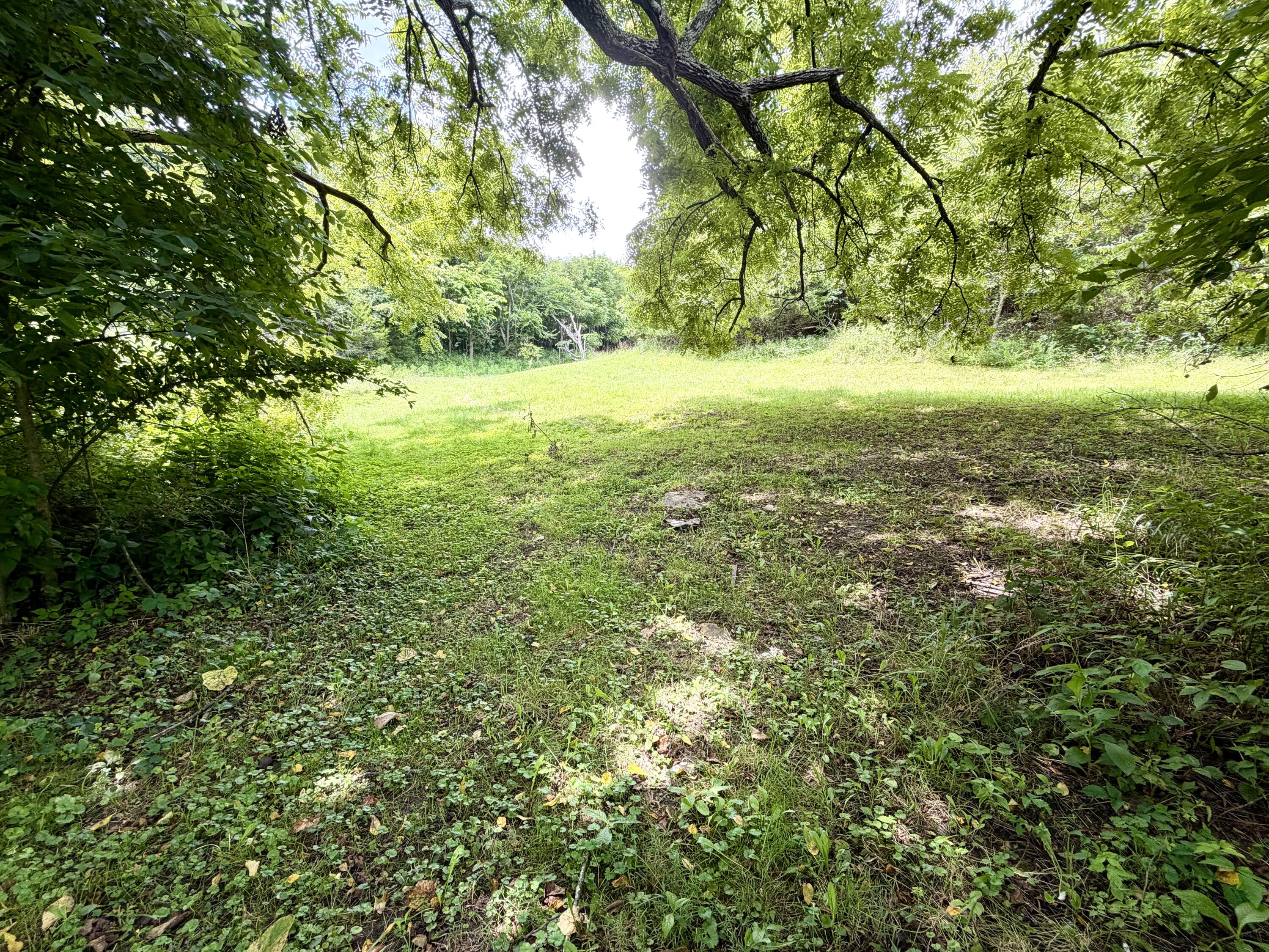 180 Russell Branch Road Harrodsburg, KY 40330 - Photo 4 of 10 IMG_4442