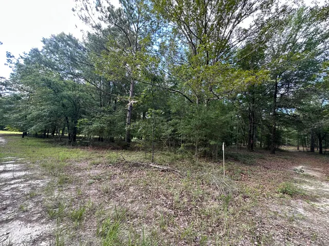 $95,000 | Lot E South Waynesboro Ga 30830, Waynesboro, GA 30830