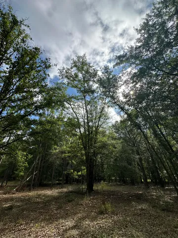 $95,000 | Lot E South Waynesboro Ga 30830, Waynesboro, GA 30830