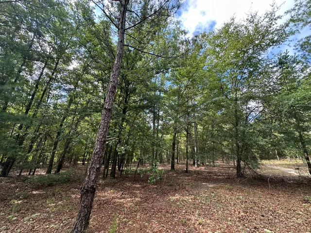 $95,000 | Lot E South Waynesboro Ga 30830, Waynesboro, GA 30830