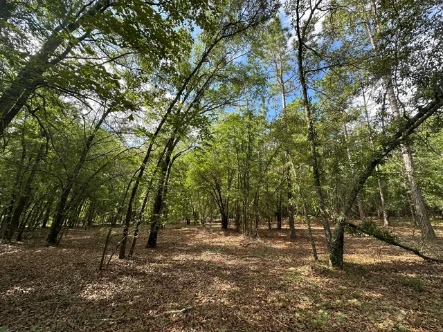 $95,000 | Lot E South Waynesboro Ga 30830, Waynesboro, GA 30830