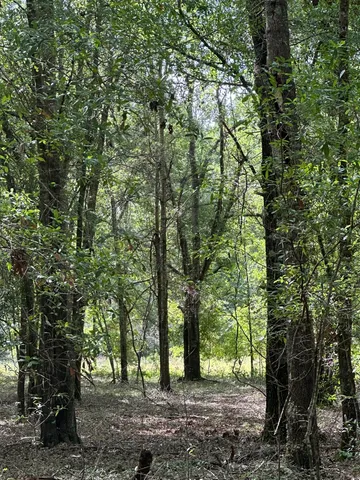 $95,000 | Lot E South Waynesboro Ga 30830, Waynesboro, GA 30830